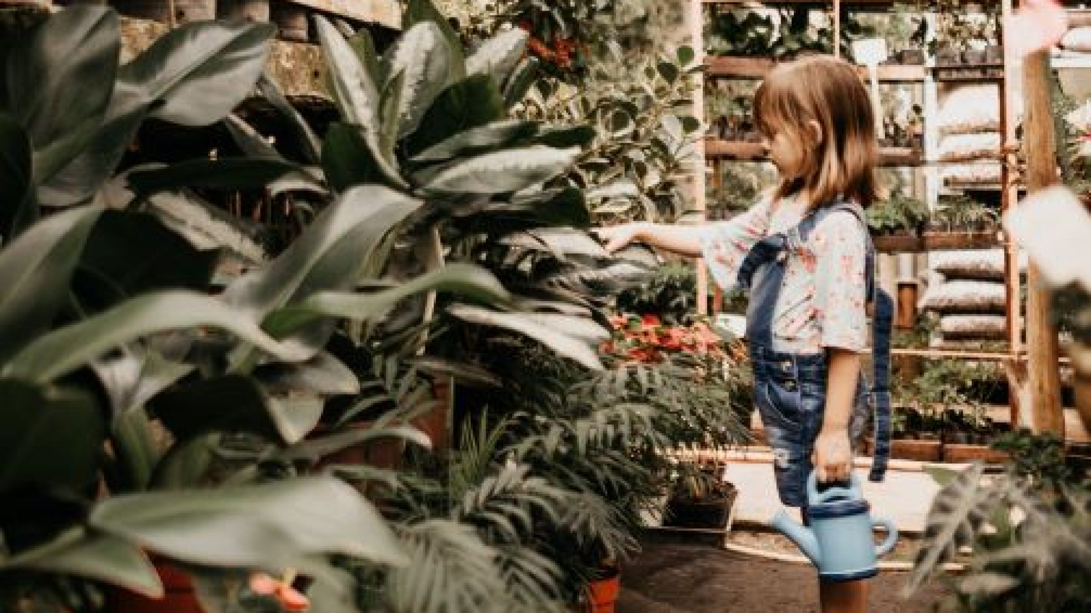 Activities for Kids to Reduce Carbon Footprint